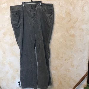 cute plus size gray corduroy pant in 26 tall
